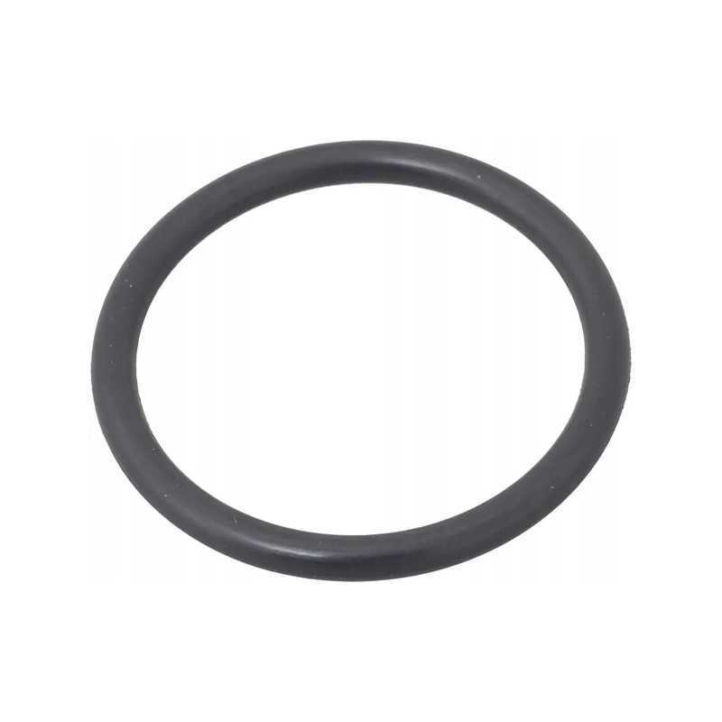 Pierscien 1006336m1 kramp