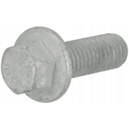 Šešiakampis varžtas