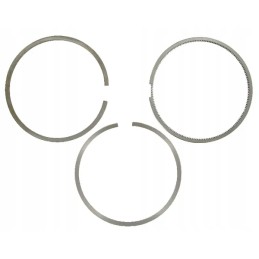 Stūmoklio žiedų rinkinys 3 vnt sdf