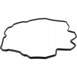 Vožtuvo dangtelio tarpinė