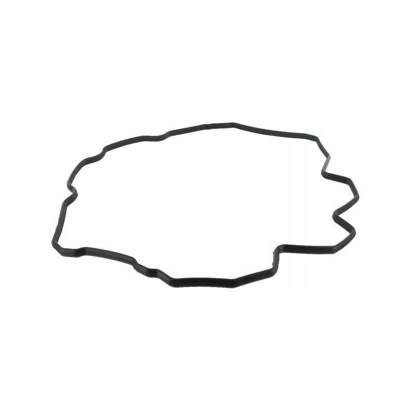 Vožtuvo dangtelio tarpinė