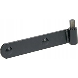 Zetor durų lango vyriai