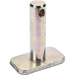 Sworzen Naujoji Olandija