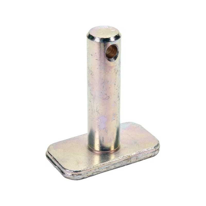 Sworzen Naujoji Olandija