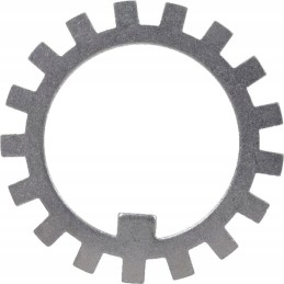 Dantyta spynos poveržlė