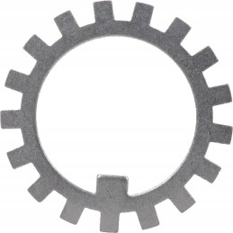 Dantyta spynos poveržlė