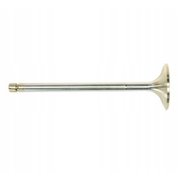 Chromuotas išmetimo vožtuvas bizon pla2585k pl6