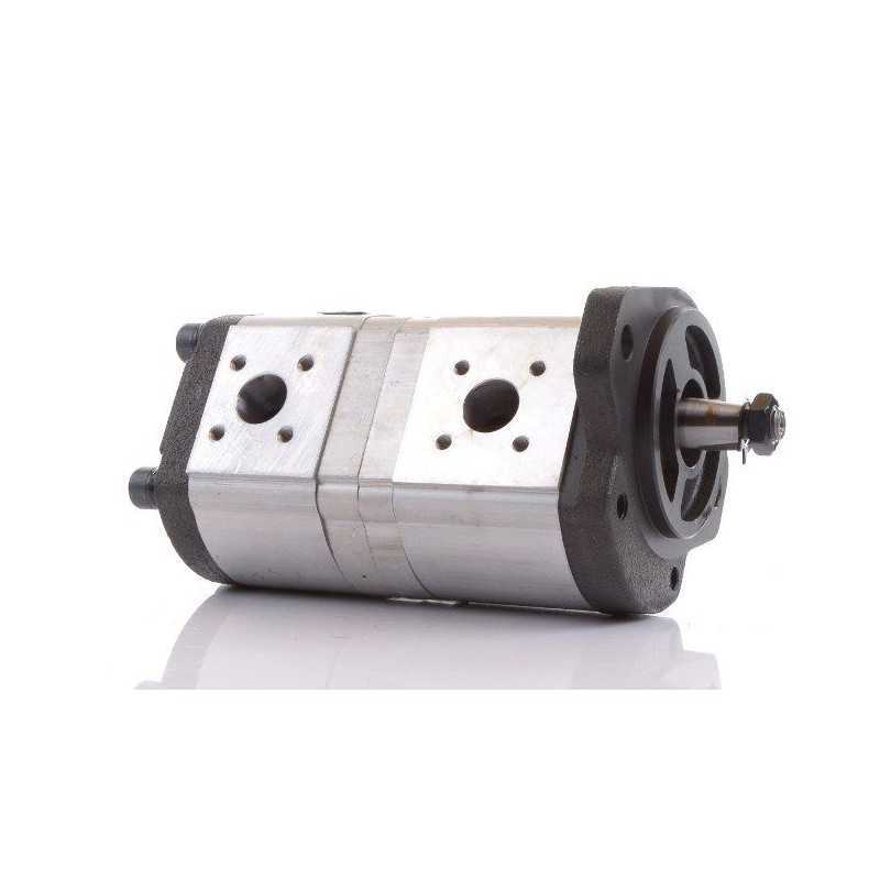 Hidraulinis siurblys Renault Bosch