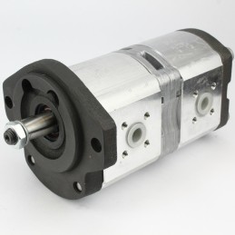 Hidraulinis siurblys Renault 110 54 155 54