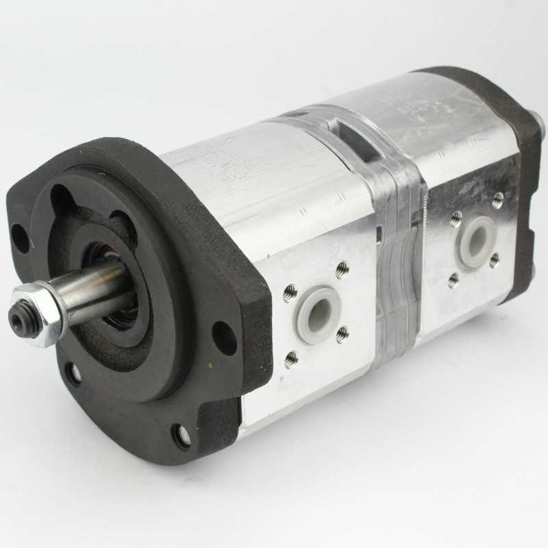 Hidraulinis siurblys Renault 110 54 155 54