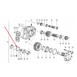 669436 0 atlaisvinkite tarpiklio žiedą