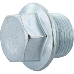 Išleidimo kamštis 1570733750