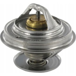 Case Steyr termostatas