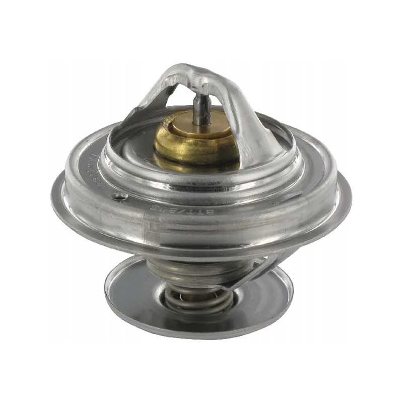 Case Steyr termostatas