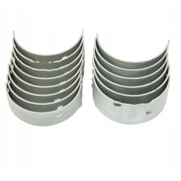 Pagrindinių guolių komplektas n025, 1 bimetalinis pjūvis