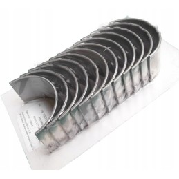 Švaistiklio guolių rinkinys n025, 1 bimetalinis pjūvis