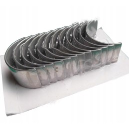 Švaistiklio guolių rinkinys n025, 1 bimetalinis pjūvis