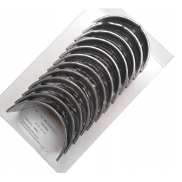 Švaistiklio guolių rinkinys n025, 1 bimetalinis pjūvis