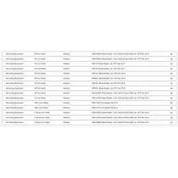 New Holland grandinės žvaigždutė 25 dantukai 322713