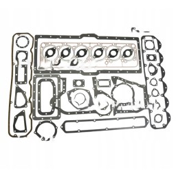 SW400 variklio tarpiklių komplektas Bizon SW40 komplektui