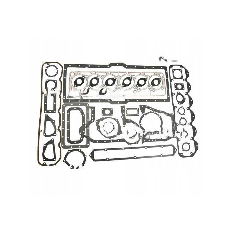SW400 variklio tarpiklių komplektas Bizon SW40 komplektui