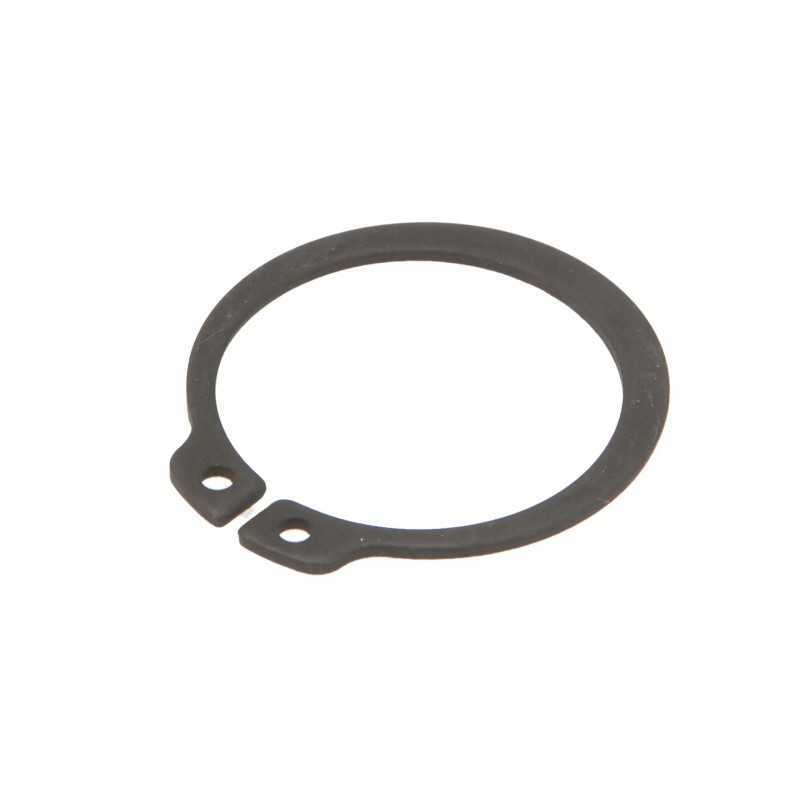 100015157 seger žiedas