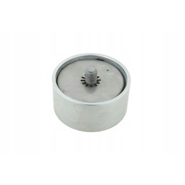 La504065878 variklio skriemulys