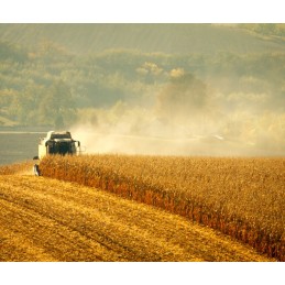 Klasikinis diržas d 32 3940 lenkiškai sustiprintas diržas