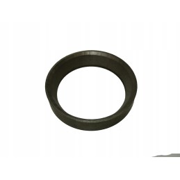 Fortschirt 4vd variklio įsiurbimo vožtuvo išmetimo lizdai