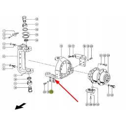 649903 1 vedanti ožka