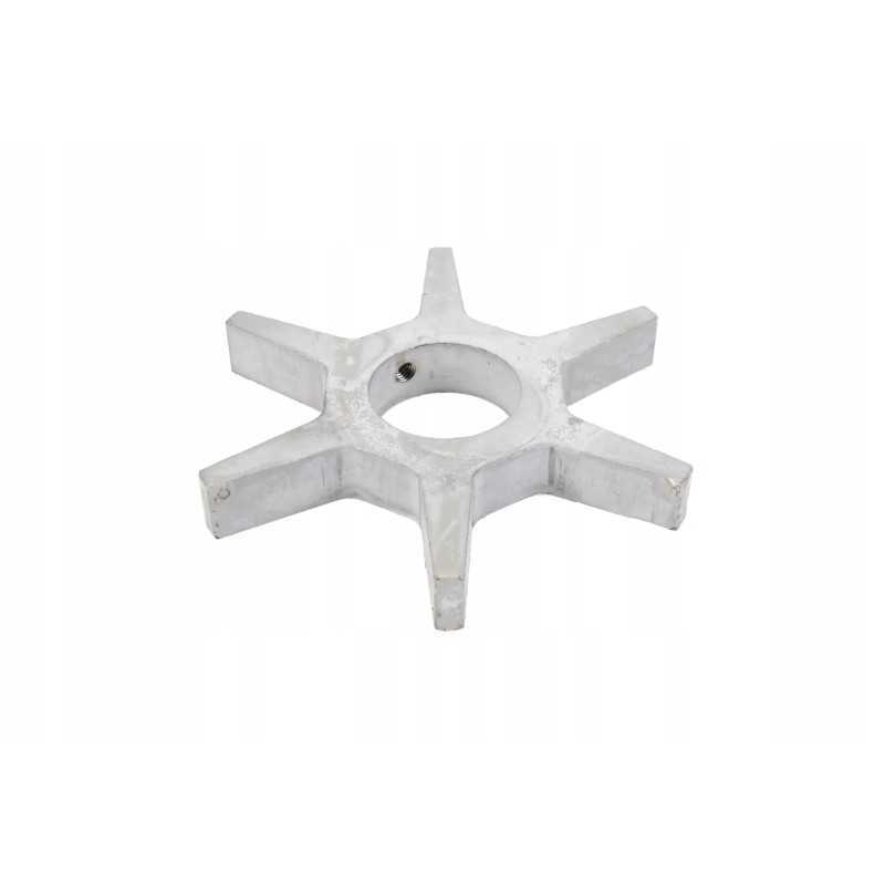 100009679 grandinės žvaigždutė