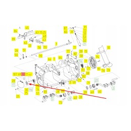 100009679 grandinės žvaigždutė