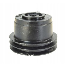 Vandens siurblio skriemulys 2 diržams Bizon Record sk