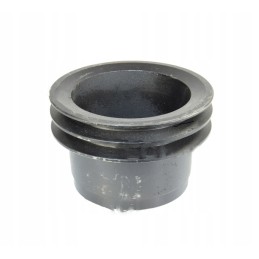 Vandens siurblio skriemulys 2 diržams Bizon Record sk