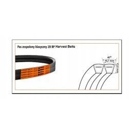 Diržas V formos diržas 2 bp h 4700 cl 350462 0