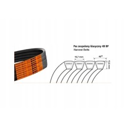 Diržas V formos diržas 4 hb 1670 cl 629279 0