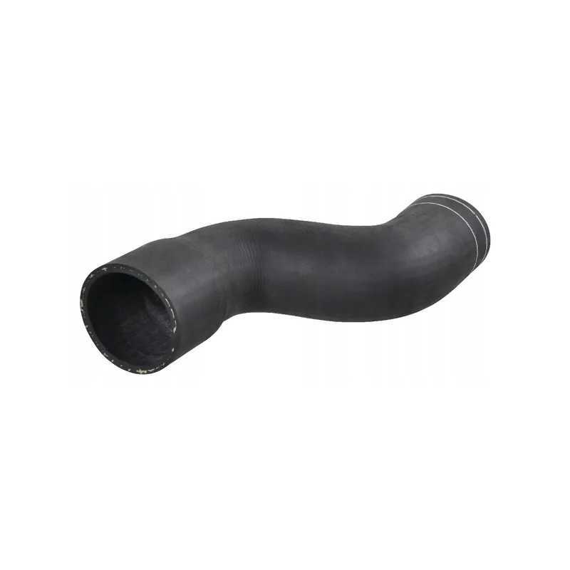 Radiatoriaus žarnos