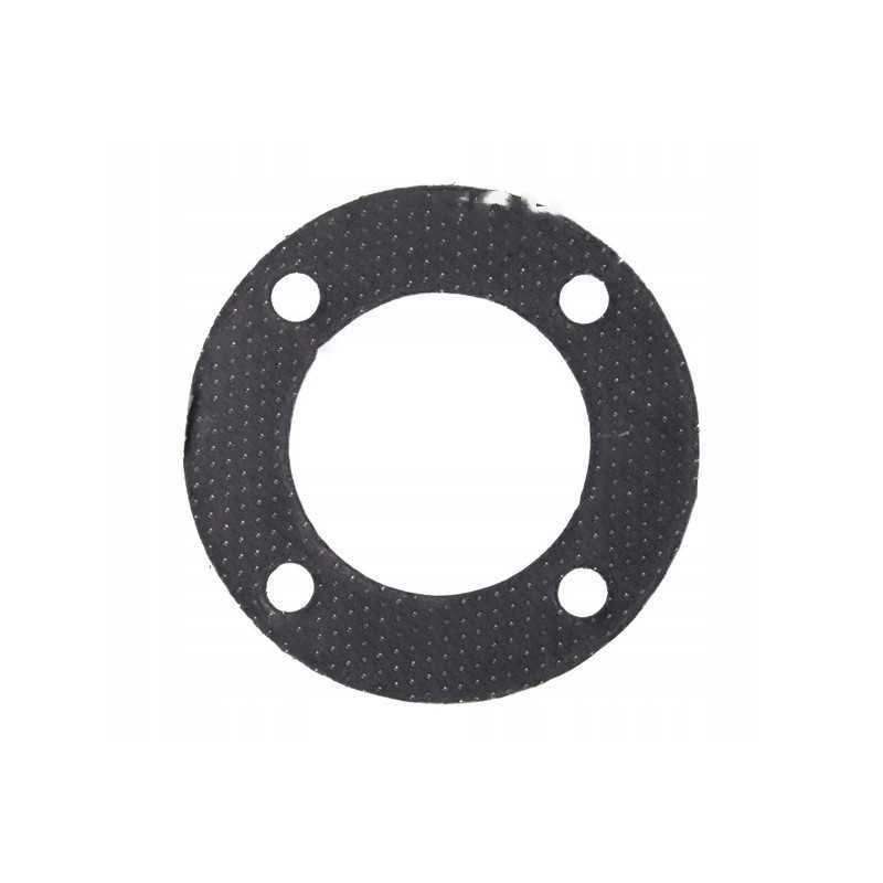 Duslintuvo tarpiklis bizon sw400 182642 polgasket