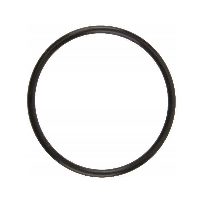 O-žiedo sandariklis