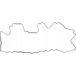 Vožtuvo dangtelio tarpinė