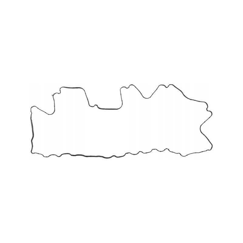 Vožtuvo dangtelio tarpinė