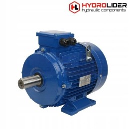 Variklis 400v b3 3kw g100l 1420rpm hidrolideris