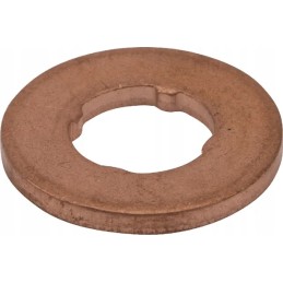 Cnh purkštuko poveržlė