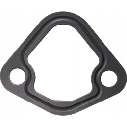 Kuro tiekimo siurblio sandariklis