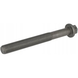 Lizdo galvutės varžtas