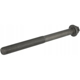 Lizdo galvutės varžtas