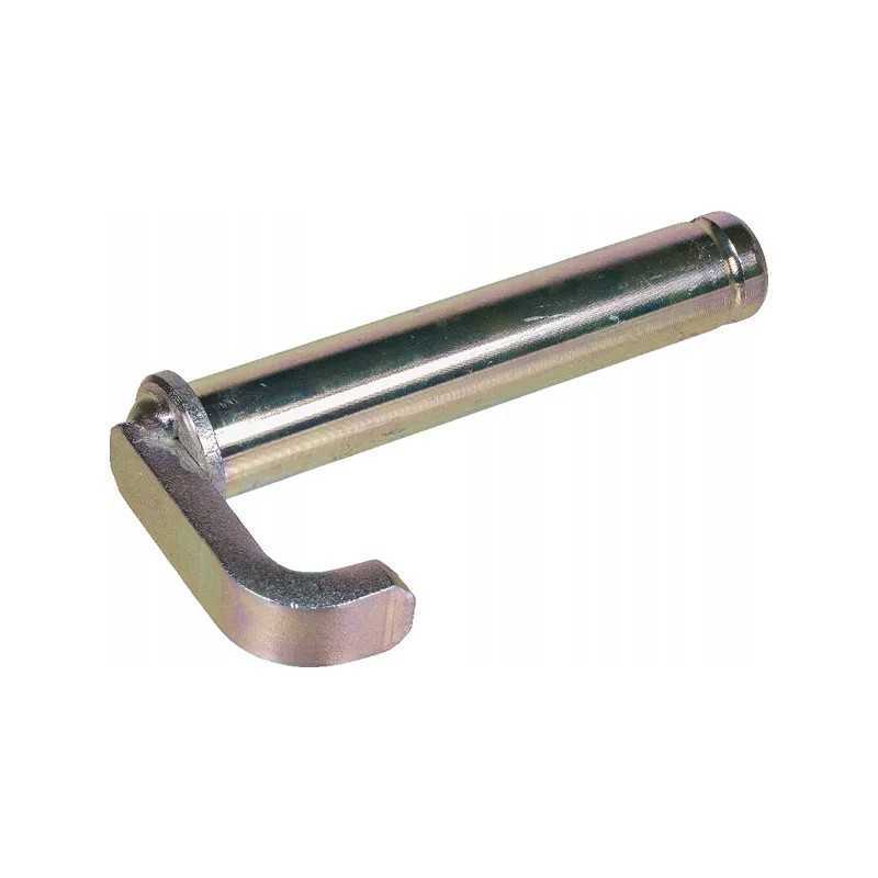 Sworzen Naujoji Olandija