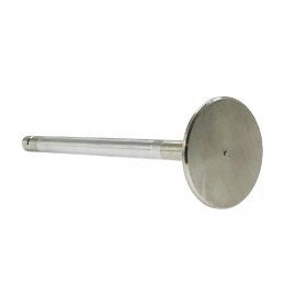 Išmetimo vožtuvas SW400 SW400T Andoria mot