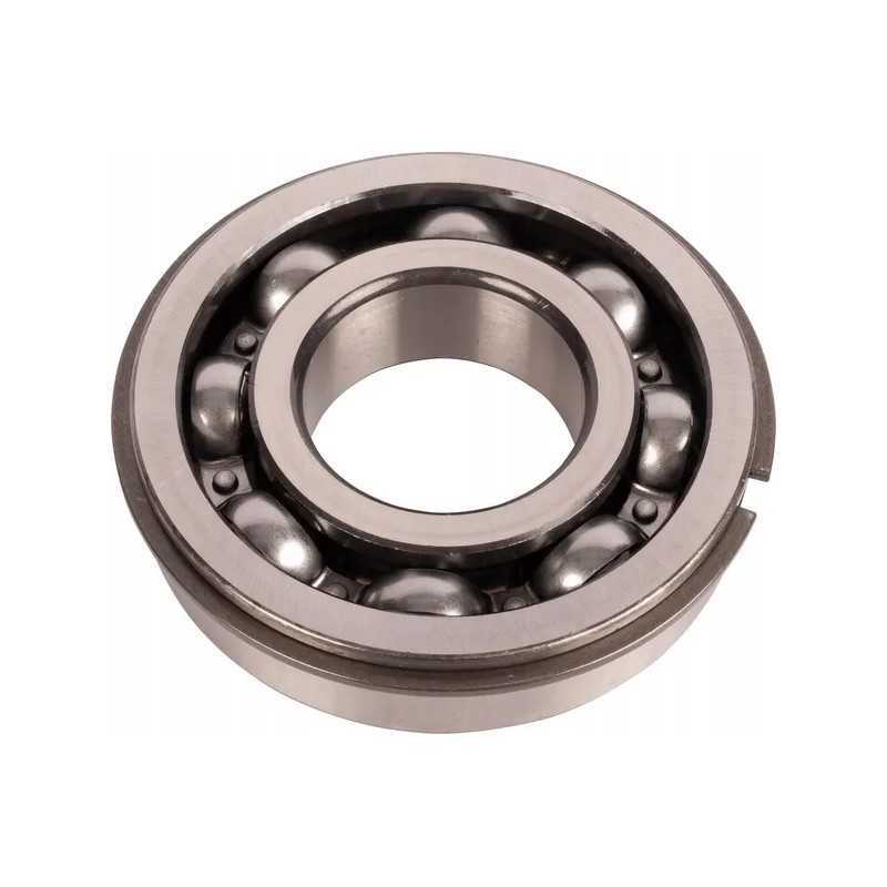 Vienos eilės rutulinis guolis