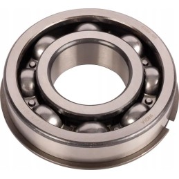 Vienos eilės rutulinis guolis